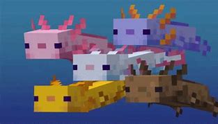 Image result for Minecraft Ender Dragon Comics