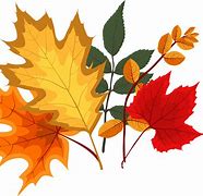 Image result for Falling Leaf Poem