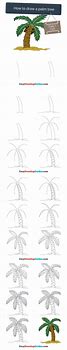 Image result for How to Draw Pigmy Palm Trees