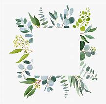 Image result for Eucalyptus Leaves Clip Art