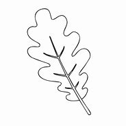 Image result for Oak Leaf Outline