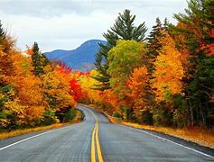 Image result for Northern New England Foliage