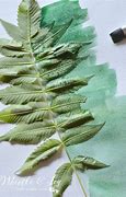 Image result for Watercolor Leaf Blotches