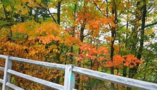 Image result for Massachusetts Fall Foliage