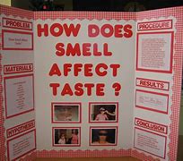 Image result for Easy Science Projects