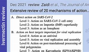 Image result for Antibiotics Effectiveness