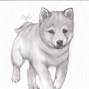 Image result for Cute Puppy Dog Coloring Pages