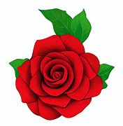 Image result for Rose Vine Coloring Pages