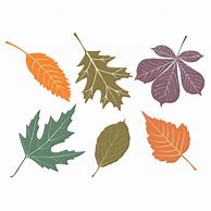 Image result for Fall Leaves Drawing