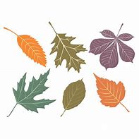 Image result for Fall Leaves Vector Free