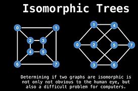 Image result for Vertices Graph Theory