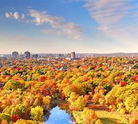 Image result for Fall in CT