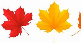 Image result for Green Fall Leaves Clip Art