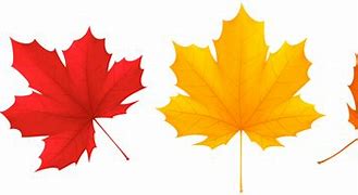 Image result for Autumn Leaf Clip Art Free