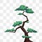 Image result for Cypress Tree Vector