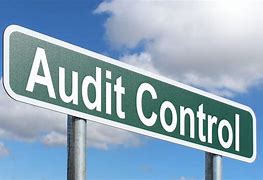 Image result for Internal Control Audit