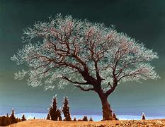 Image result for Tree of Life Poster