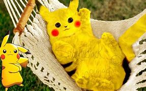 Image result for Real Pokemon Pikachu