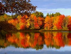 Image result for Fall Leaves Desktop Background Lake