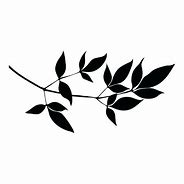 Image result for Curved Leaf Branch Silhouette