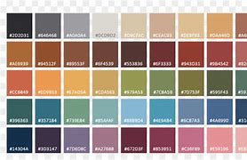 Image result for lowe's paint color samples