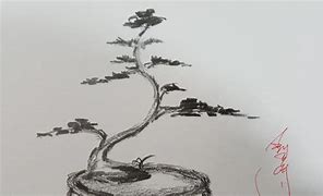 Image result for Bonsai Tree Drawings Pencil