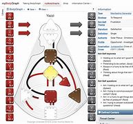 Image result for Human Design Chart Generator