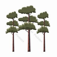 Image result for Tree with a Low Branch Cartoon