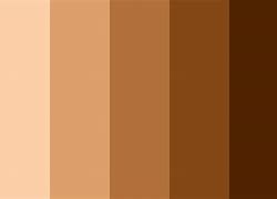 Image result for Images of Different Shades of Color of Human Skin