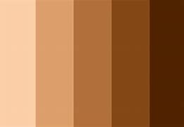 Image result for Human Design Color and Tone