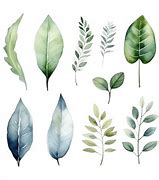 Image result for Desktop Backgrounds Watercolor Leaves