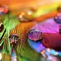 Image result for Among Us Wallpaper with Water Drops