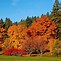 Image result for Fall Colors Desktop