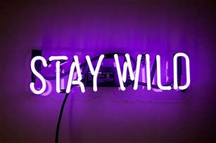 Image result for Amazing Neon Signs