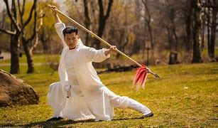 Image result for Kung Fu Ko