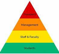 Image result for Hierarchy Chart in It Company