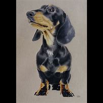 Image result for Dachshund Pencil Drawings