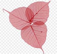 Image result for Flower Leaf Clip Art Black and White