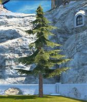 Image result for Cedar Tree Clip Art