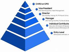 Image result for Modern Human Hierarchy Work-Class