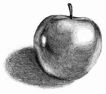 Image result for Apple Drawing with Shadow