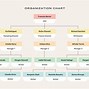 Image result for Organization Chart Design