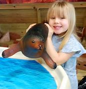 Image result for Sea Creature Toys