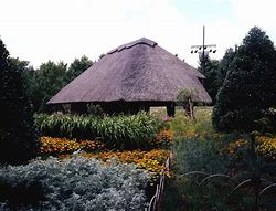 Image result for Thatched Roof Pavilion