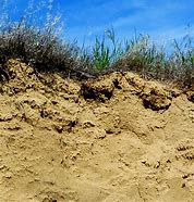 Image result for Soil