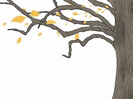 Image result for Tree Falling Leaves Clip Art