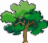 Image result for Oak Tree Leaves Types