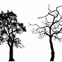 Image result for Pretty Tree Silhouette