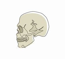 Image result for Law Skull Line Art