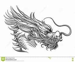 Image result for Chinese Dragon Art Realistic